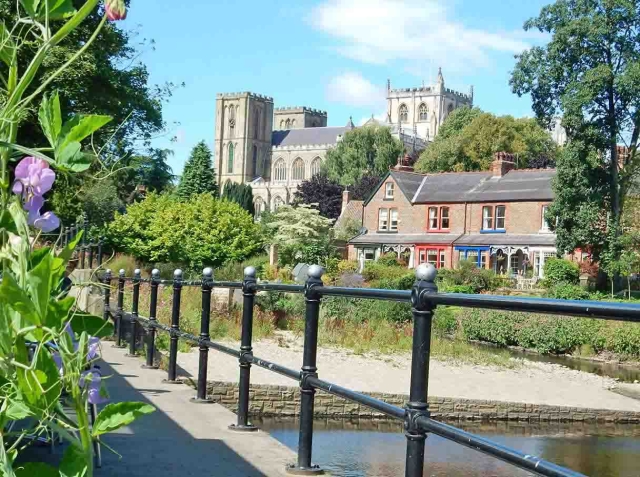 Ripon
